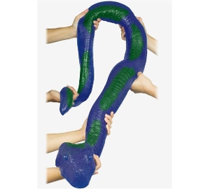 Party Python - Blue/Green  